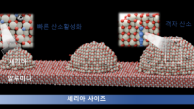 기사 썸네일
