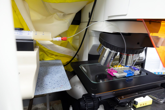 오염물이 섞인 흙탕물을 미세유체칩에 흘려 오염물질을 추출하고 있다.