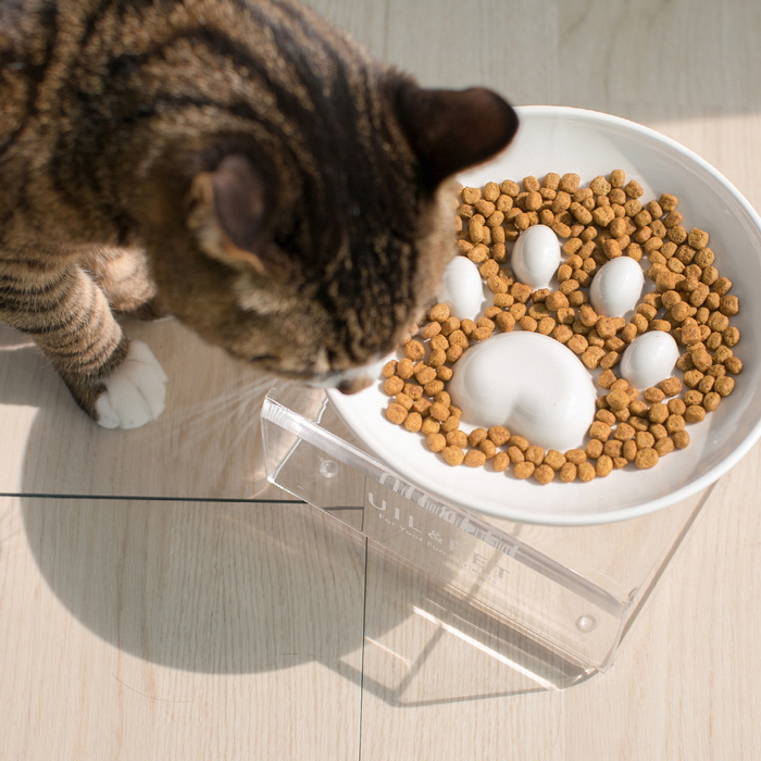 [마이캣페어] 유일앤펫 '참참볼', 국산 도자기로 만든 슬로우식기의 기준 제시