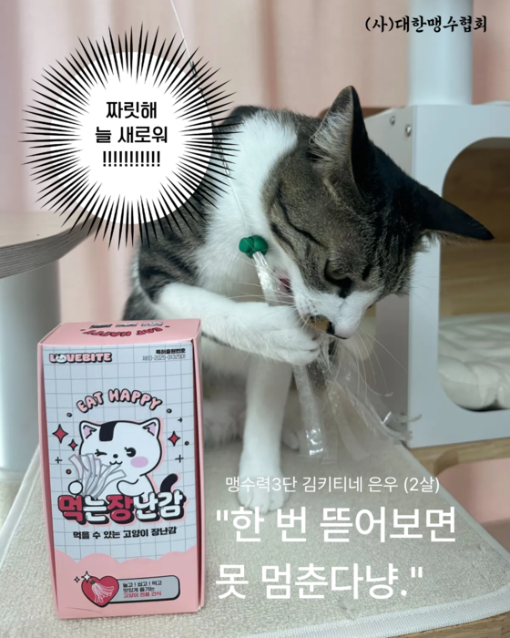 [마이캣페어] 러브바이트, 고양이가 먹어도 되는 장난감 '먹장' 출시…“마이캣페어 2026”서 첫 선