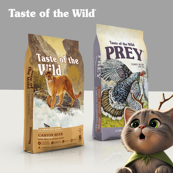 입맛 까다로운 아이도 본능적으로 먼저 찾는, 토우(TOW)의 진심