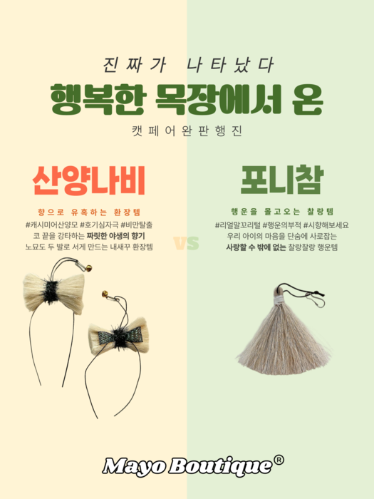 [마이캣페어] 마요부티크, 마이캣페어 참가… 집사들과 현장에서 만난다