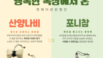 기사 썸네일