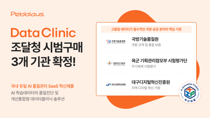 페블러스 '데이터 클리닉', 조달청 혁신제품 시범구매 3개 기관 확정 - 뉴스 썸네일 이미지