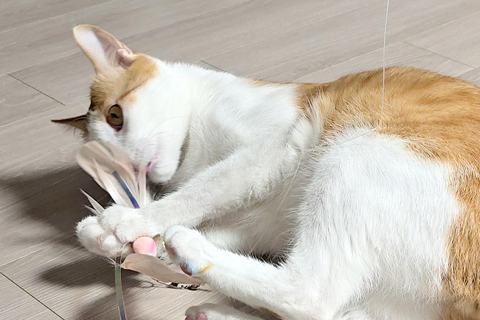 오직 현장에서만! 온라인 미출시 신제품 최초 공개