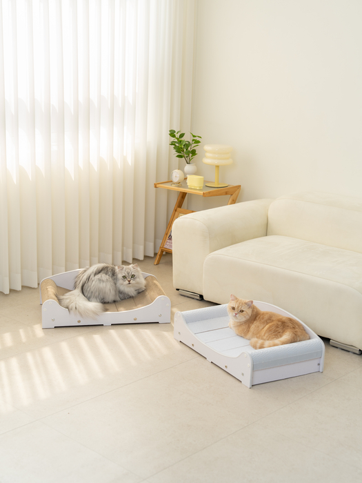 [마이캣페어] 펫타임즈, “마이캣페어 2026”서 반려묘 라이프 스타일 제안하는 '메가스크래쳐' 소개