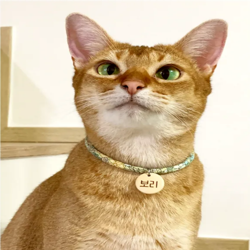 콩다하우스_인식표