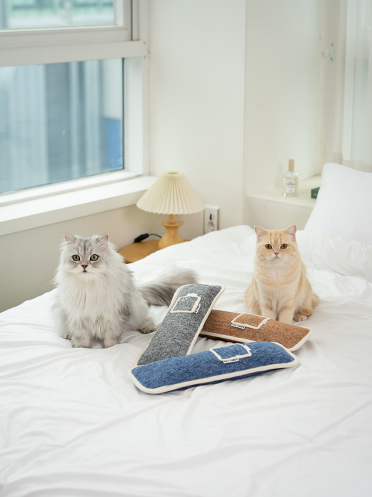 [마이캣페어] 펫타임즈, “마이캣페어 2026”서 반려묘 라이프 스타일 제안하는 '메가스크래쳐' 소개