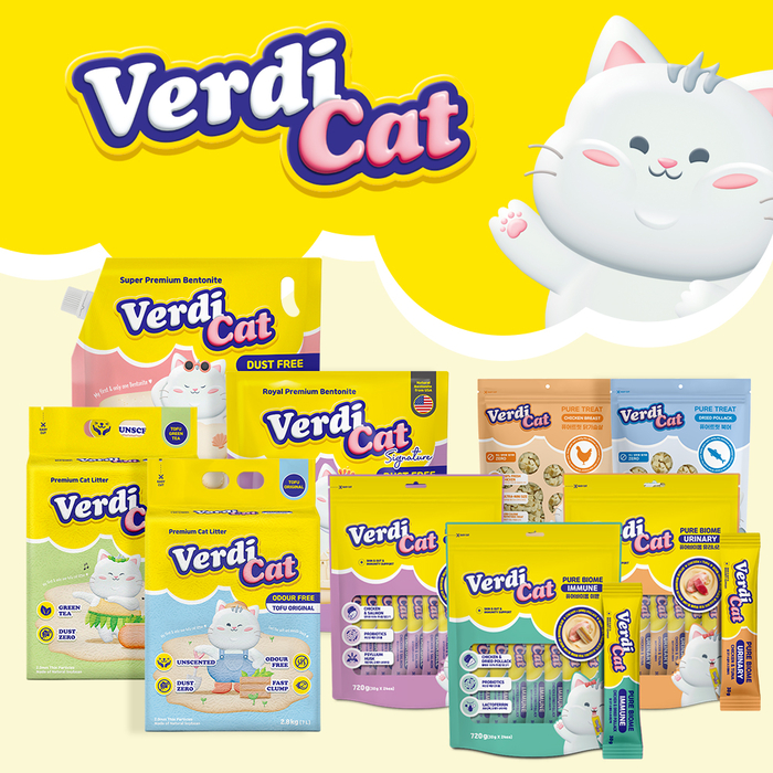 고양이를 위해 집사가 직접 설계한 베르디캣(VERDI CAT)