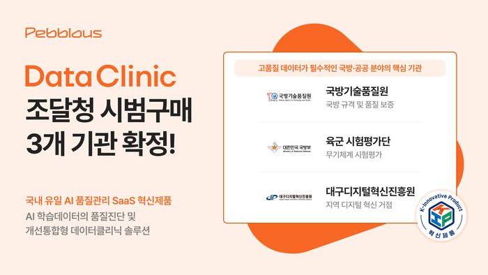 페블러스 '데이터 클리닉' 솔루션이 조달청 혁신제품 시범구매 사업을 통해 3개 기관과 매칭을 확정했다.