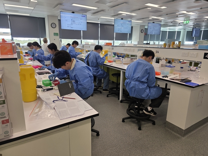 2025 글로벌 연구(GRI) 프로그램의 일환으로 호주 그리피스 대학교 실험실에서 한-호주 항산화 비교 연구에 열중하고 있는 한양YK인터칼리지 학생들(사진=한양대)