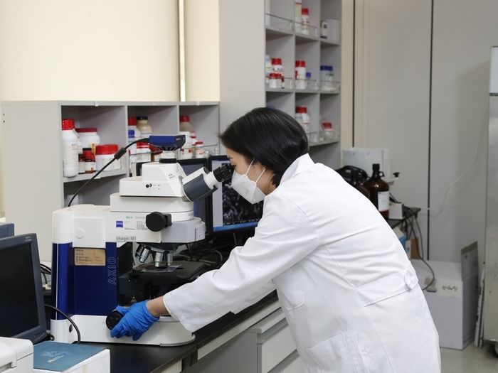 hy중앙연구소 연구원이 현미경으로 균주를 관찰하고 있다.