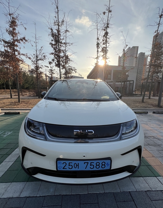 BYD 돌핀