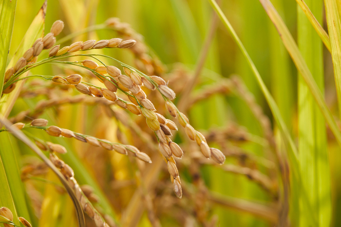 ⓒ게티이미지뱅크