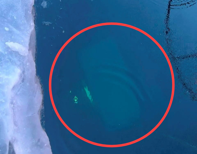 러시아 바이칼 호수에 추락한 관광 버스가 호수 바닥에 가라앉아 있다. 사진=로이터통신 연합뉴스