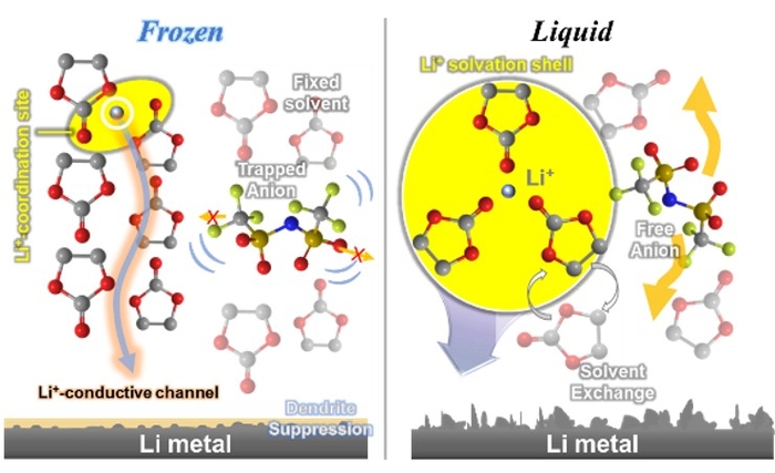 얼음 전해질의 이온 전달 경로와 수지상 억제 효과