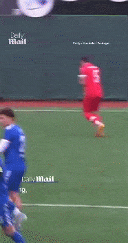 갈매기를 의료진에게 인계하는 차탄. 사진=엑스