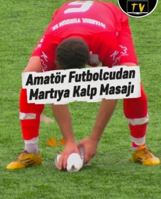 축구 경기 도중 공에 맞고 쓰러진 갈매기를 한 선수가 심폐소생술(CPR)로 살려낸 장면이 전해지며 관심을 모으고 있다. 사진=엑스