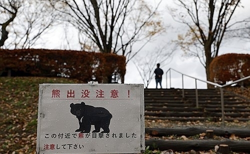 일본 아키타현의 곰 조심 안내판. 사진=연합뉴스