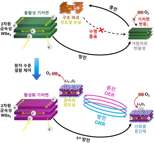 2차원 금속성 WSe2 소재의 기저면 활성화 및 촉매 반응 메커니즘