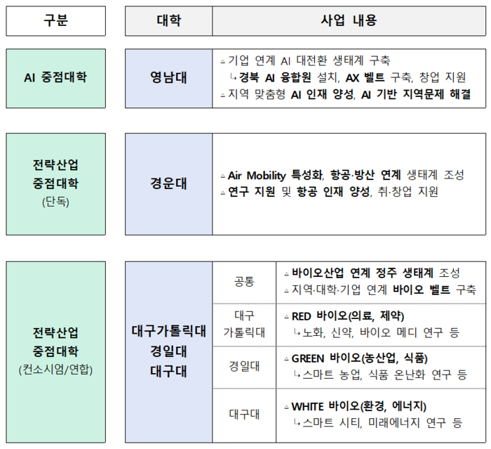 경북 라이즈(RISE) 위원회를 통해 선정된 AI 중점대학과 항공·방산·바이오 전략산업 중점대학 등 3개 트랙(Track) 5개교