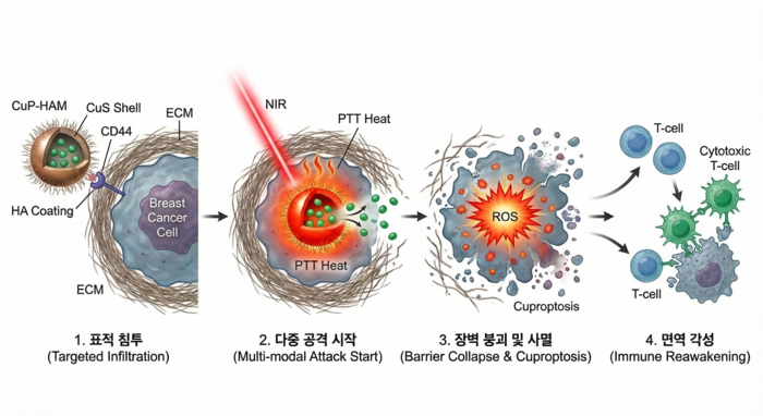 박인규 교수 삼중음성 유방암 연구 이미지.