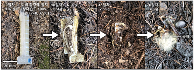 소프트 로봇 손가락의 생분해 과정. (한국연구재단 제공)