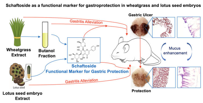 연구성과 요약도