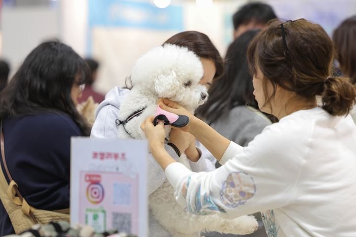 [마이펫페어] 봄기운 가득한 4월, 반려동물과 함께 즐기는 '마이펫페어 송도', 4월 17일 개막