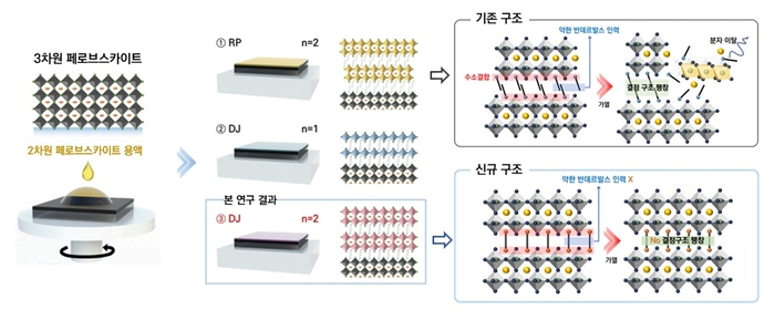 구조 형성 전략에 대한 모식도(좌) 및 구조 변화 모식도(우)