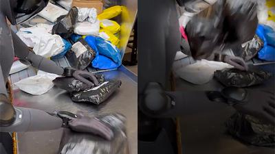 주요행사 이미지