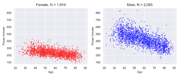 나이와 성별에 따른 요근 부피 분포도. 왼쪽은 여성, 오른쪽은 남성.(사진=코어라인소프트)