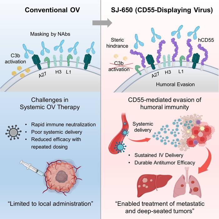 신라젠, 차세대 항암바이러스 플랫폼' SJ-650' 국제 학술지 게재