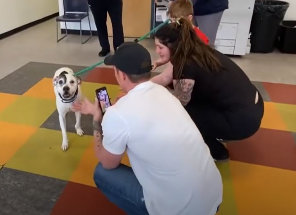 미국에서 11년 전 납치당한 반려견이 극적으로 주인을 찾아 화제다. 사진-=뉴욕포스트