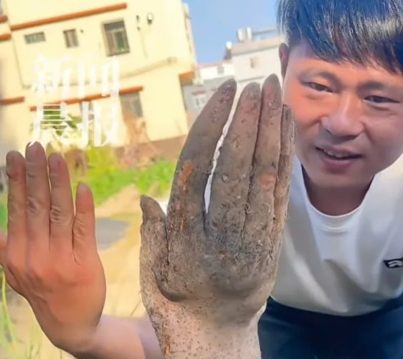 중국에서 실제 사람의 손을 닮은 독특한 형태의 참마가 발견돼 눈길을 끌고 있다. 사진=SCMP