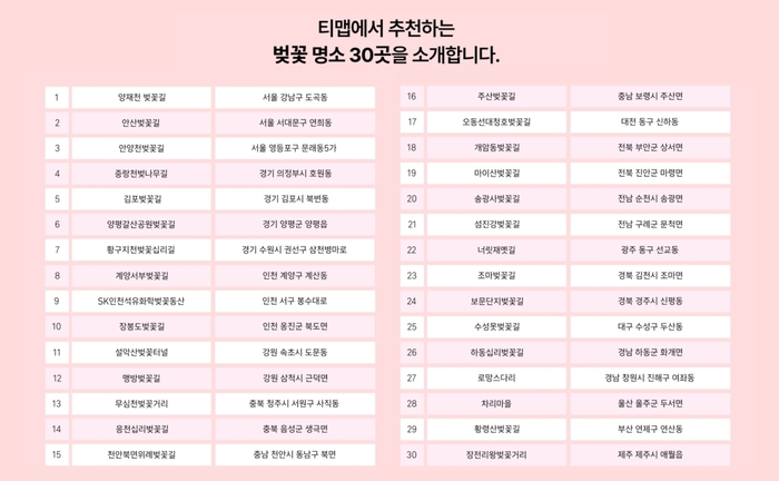 티맵에서 추천하는 벚꽃 명소 30곳 / 티맵모빌리티