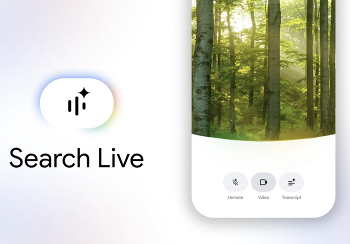 구글 서치 라이브. 〈자료 구글〉