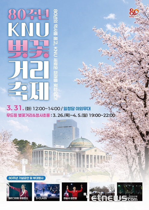 “캠퍼스 벚꽃에 흠뻑 빠지다” 경북도, 개교 80주년 기념 정문에서 일청담까지…'KNU 벚꽃거리 축제' 개최