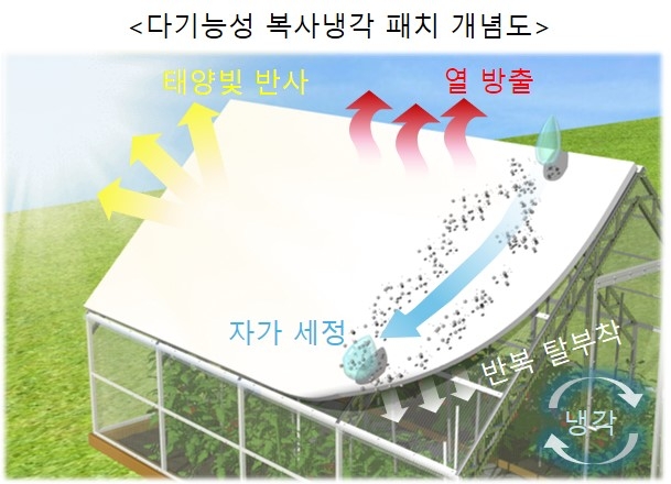 다기능성 복사냉각 패치 개념도