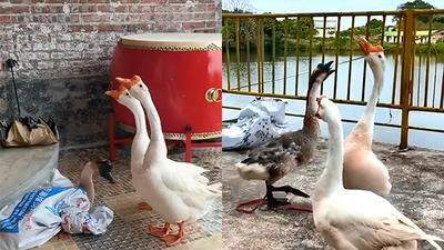 주요행사 이미지