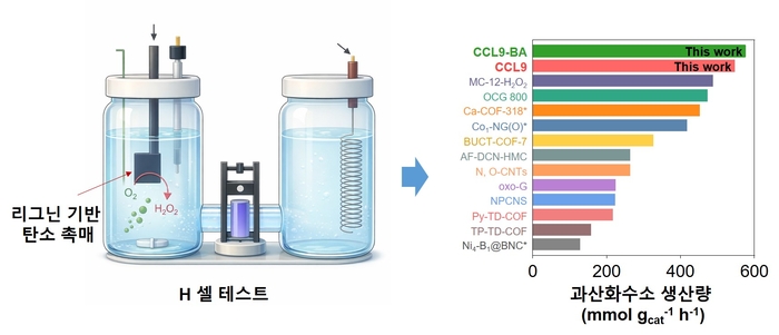 리그닌 기반 탄소 촉매의 H 셀 전기화학 반응 시스템 및 과산화수소 생산 성능 비교를 나타낸 개략도