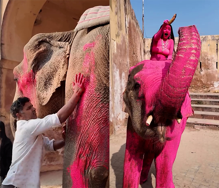 출처=인스타그램(julia.buruleva)