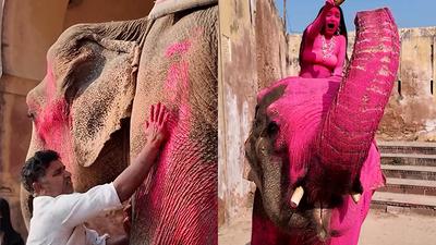 주요행사 이미지