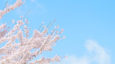 오피니언 이미지