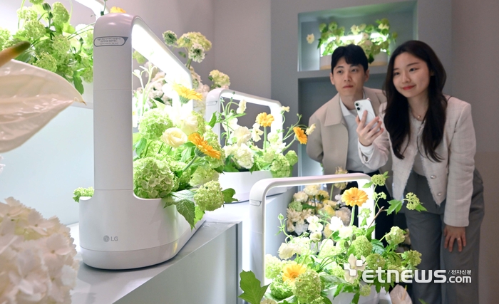 [포토] LG 틔운 미니에 피어난 봄꽃 구경해요