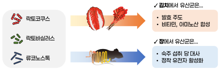 유산균의 환경에 따른 맞춤형 적응 기전.