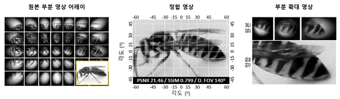 여러개 작은 렌즈(마이크로 렌즈) 배열로 촬영된 부분 영상들을 결합, 하나의 장면으로 재구성한 결과