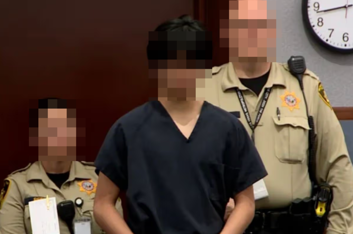 동급생 집단 성폭행 관련 성착취물 소지 혐의로 성인 법정에서 재판을 받게 된 한인 김 모(15)군. 사진=KLAS 캡처