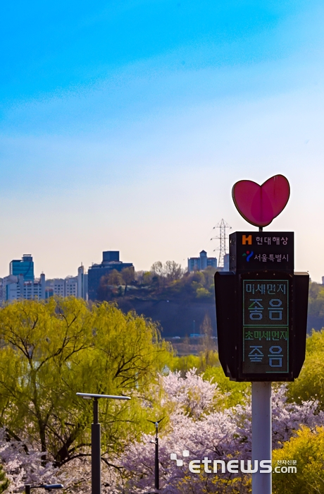 [기자의 일상] 봄의 풍광