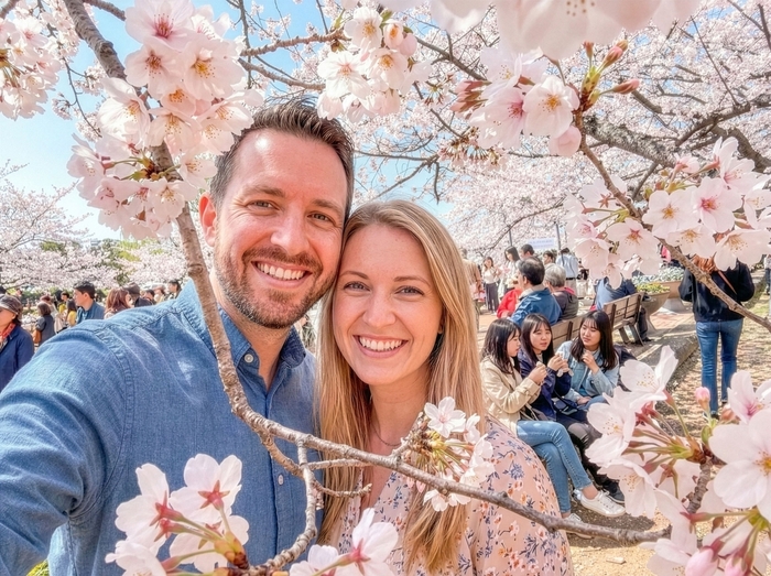 서울·부산 출발 진해군항제 일일 투어. 〈자료 투어스토리〉